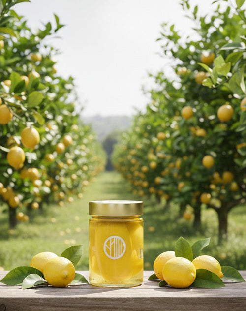Vaso di limone di Sorrento Confit Orominerva nella limonaia
