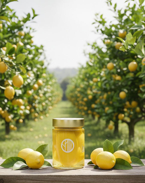 Vaso di limone di Sorrento Confit Orominerva nella limonaia