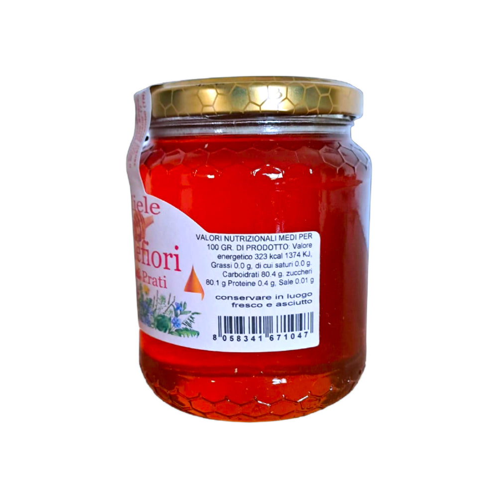 Miele Millefiori dei Prati – Artigianale del Trentino, vaso 500 gr | Nostrale