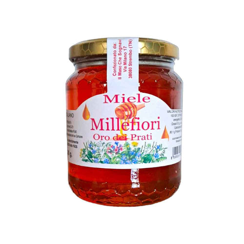 Miele Millefiori dei Prati – 500g | Miele Artigianale Italiano