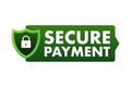 Secure payment credit card icon with graphics 51060924 1 1 580x387