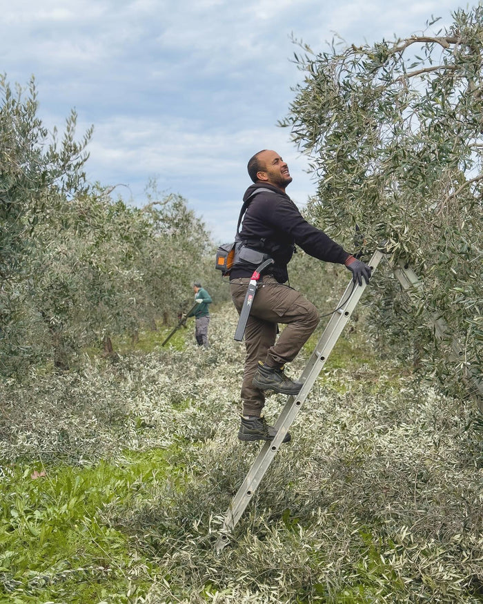 Il Bottaccio